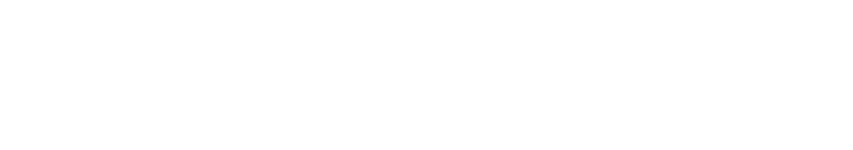 Lewis River Doors logo
